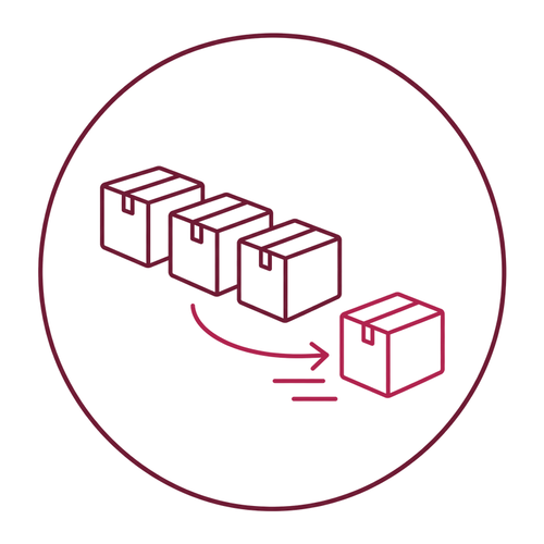Skip the Line (free gift)